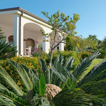 Delle Rose Horses Club Torre Vado
