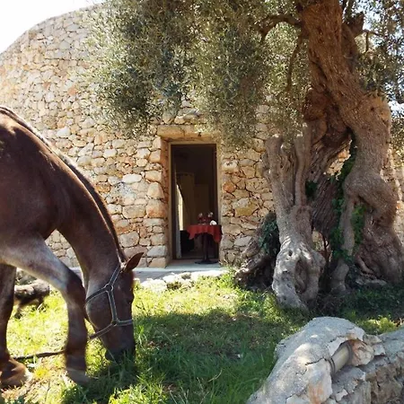 Delle Rose Horses Club 3*