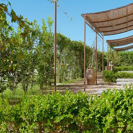 Delle Rose Horses Club Torre Vado