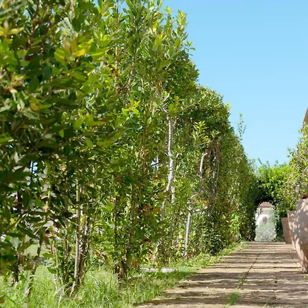 Hotel Delle Rose Horses Club 3*