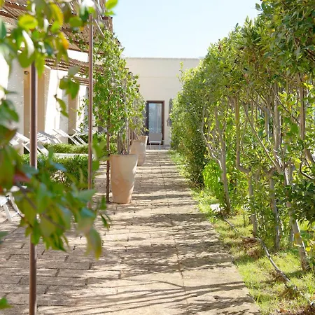 Delle Rose Horses Club 3*