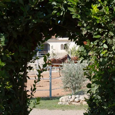 Delle Rose Horses Club Hotel Torre Vado