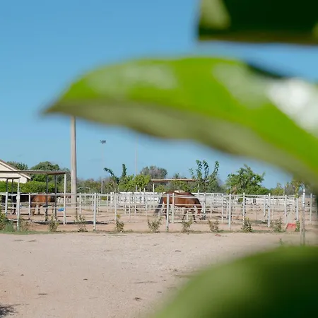 Delle Rose Horses Club Hotel Torre Vado